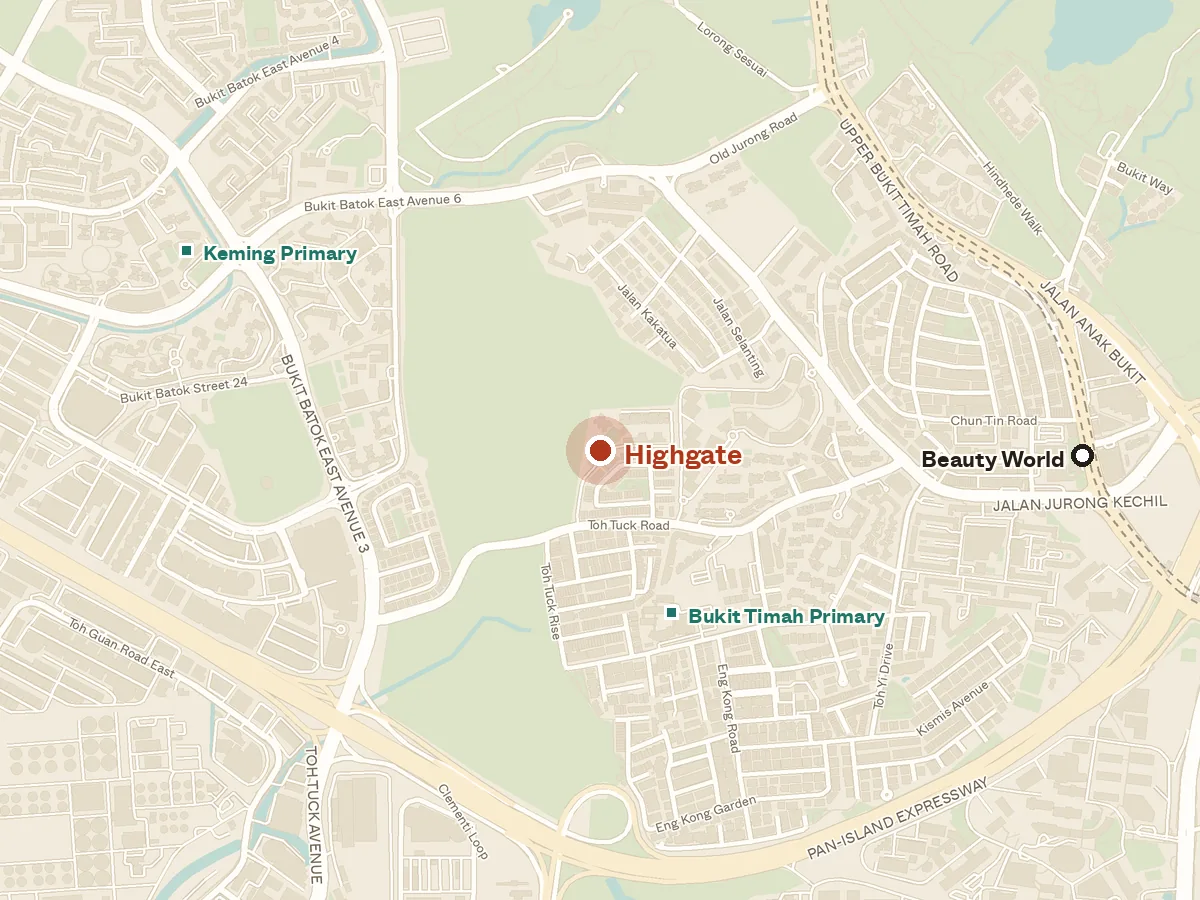 Map of the area around Highgate, with nearby MRT stations and primary schools