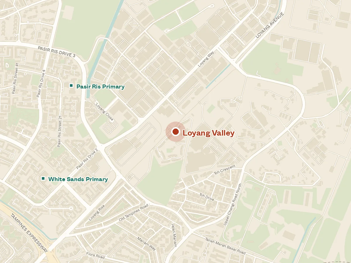 Map of the area around Loyang Valley, with nearby MRT stations and primary schools