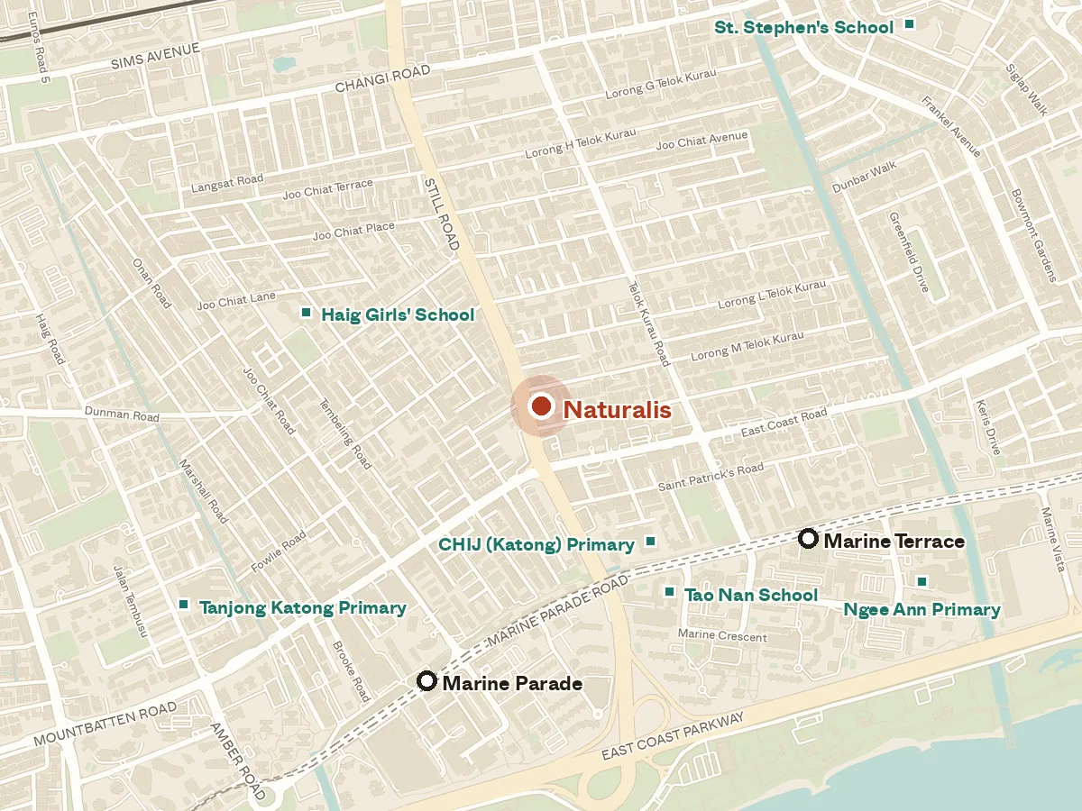 Map of the area around Naturalis, with nearby MRT stations and primary schools