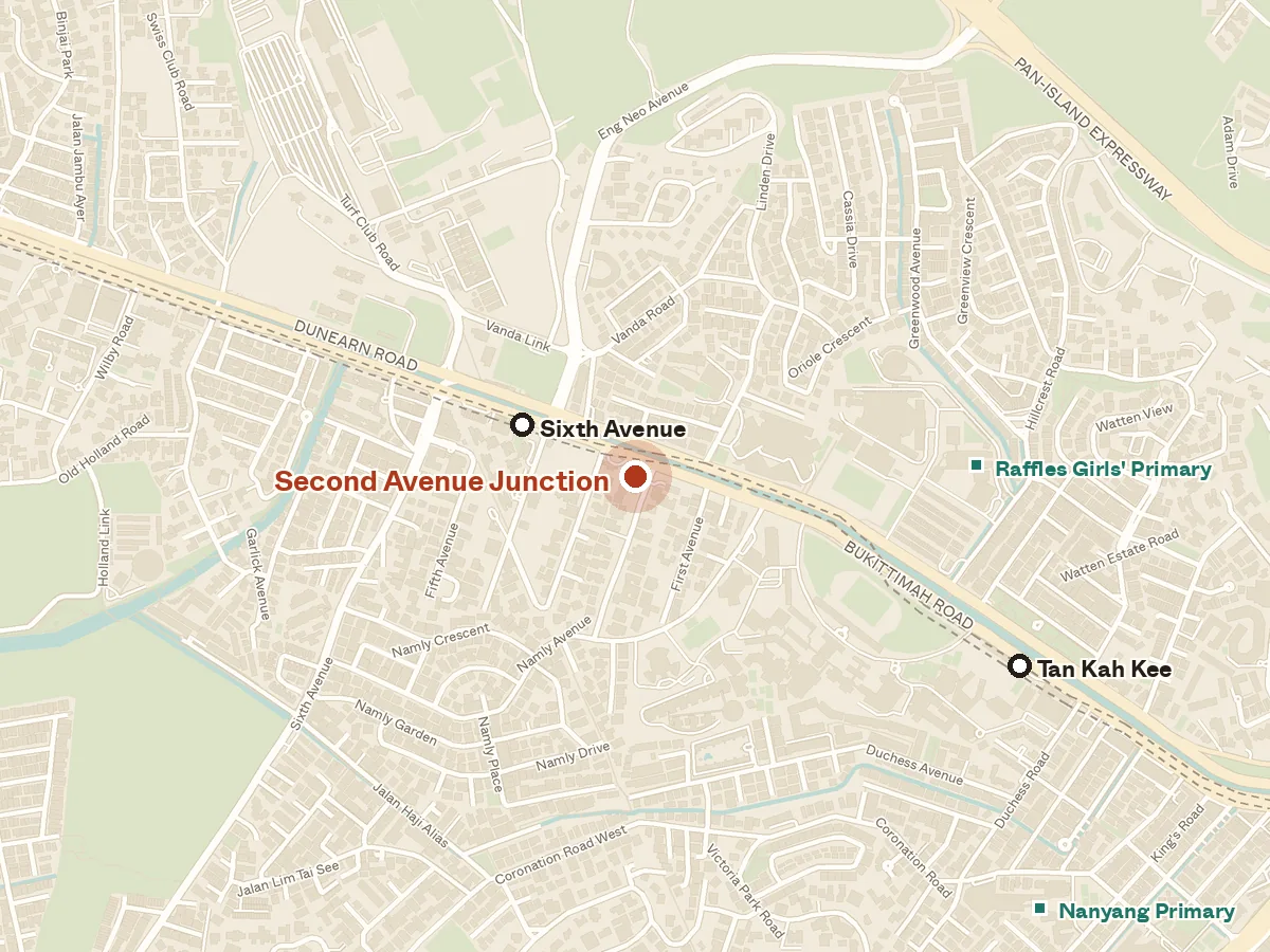 Map of the area around Second Avenue Junction, with nearby MRT stations and primary schools