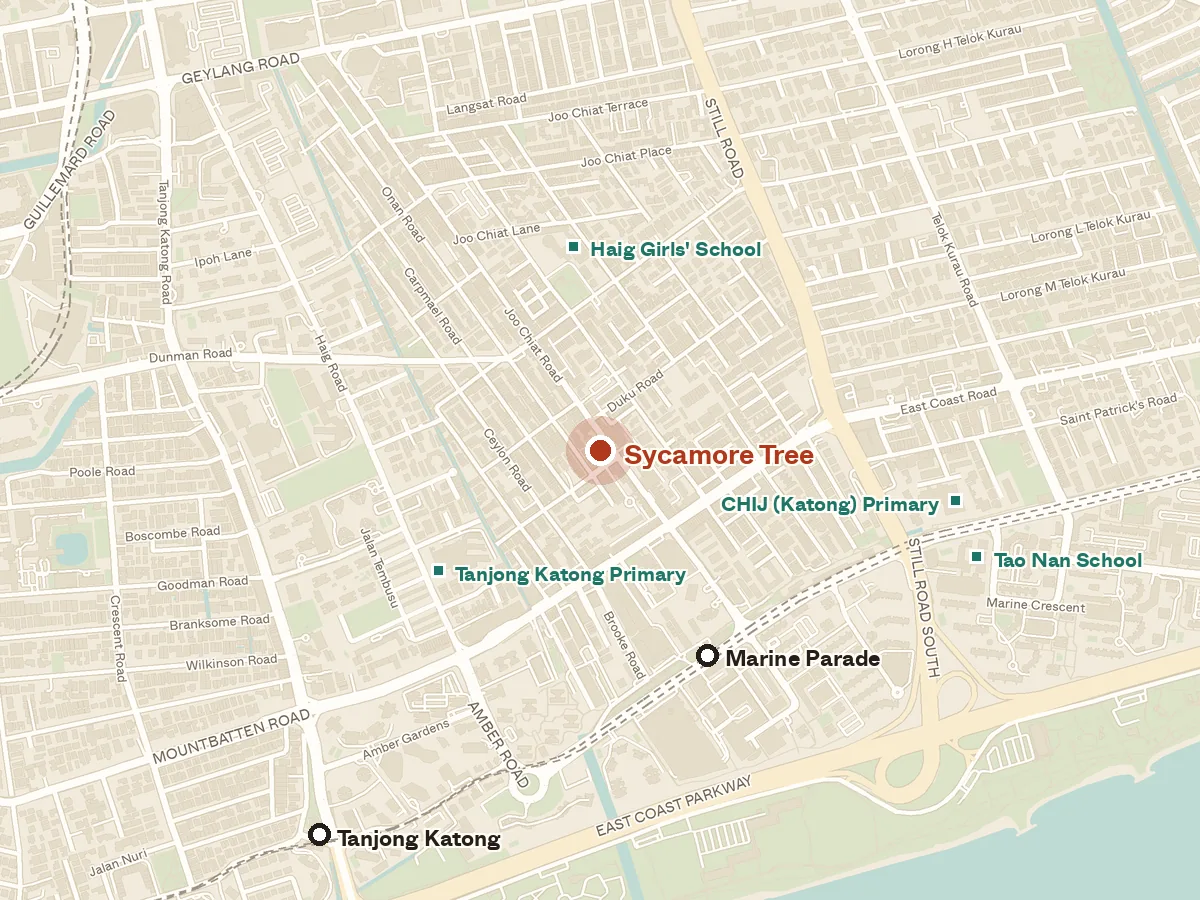 Map of the area around Sycamore Tree, with nearby MRT stations and primary schools