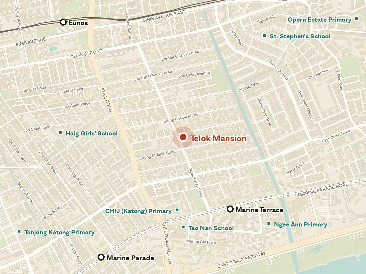 Map of the area around Telok Mansion, with nearby MRT stations and primary schools