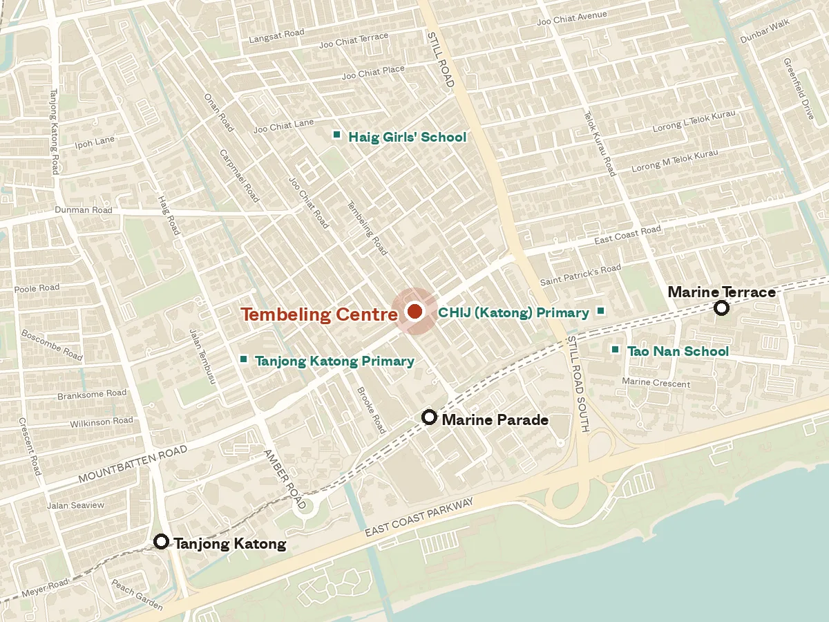 Map of the area around Tembeling Centre, with nearby MRT stations and primary schools