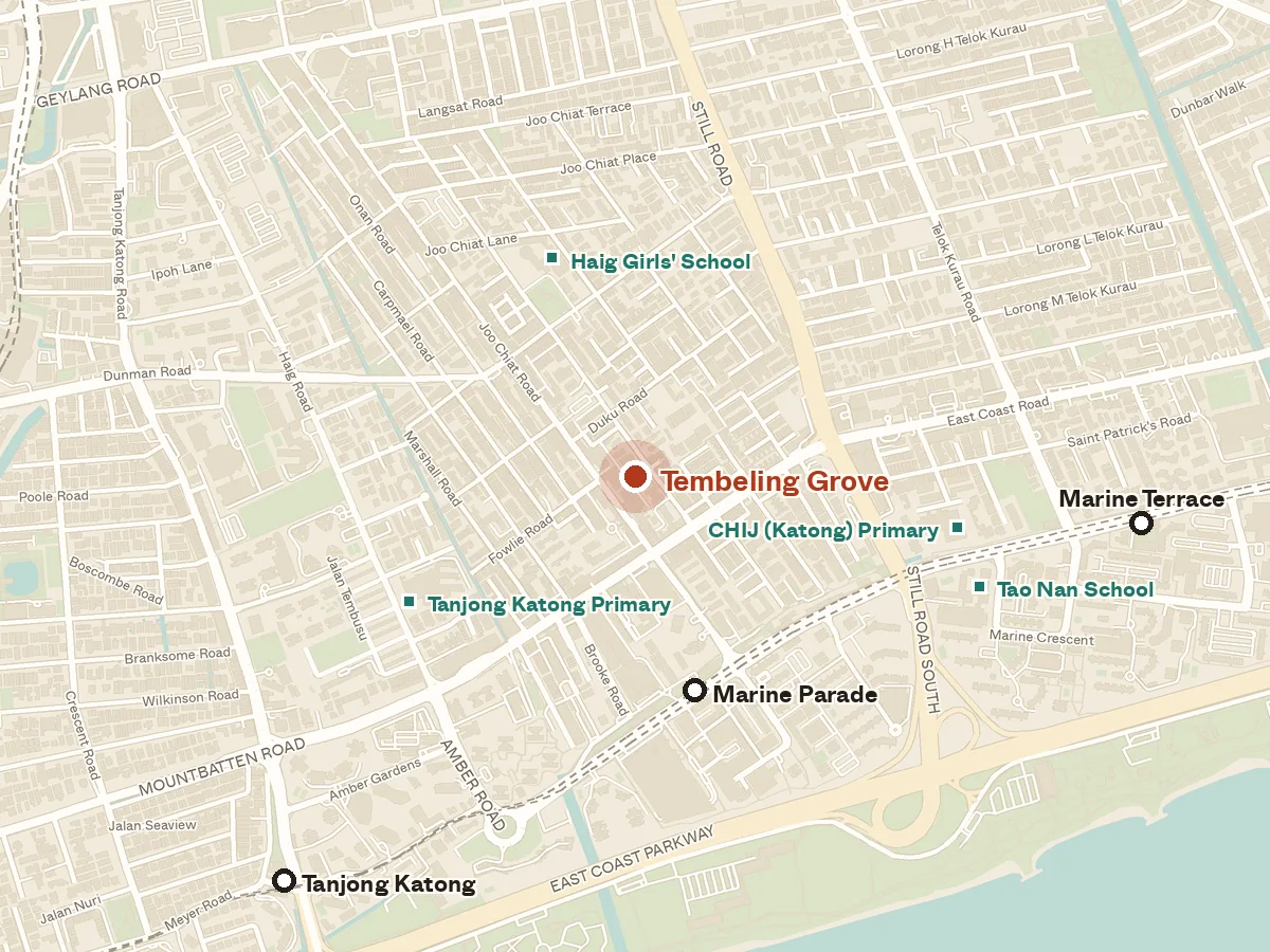 Map of the area around Tembeling Grove, with nearby MRT stations and primary schools