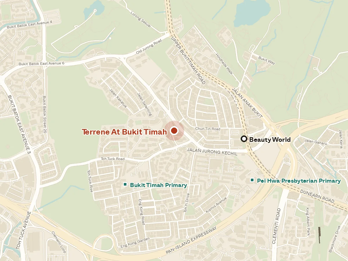 Map of the area around Terrene At Bukit Timah, with nearby MRT stations and primary schools
