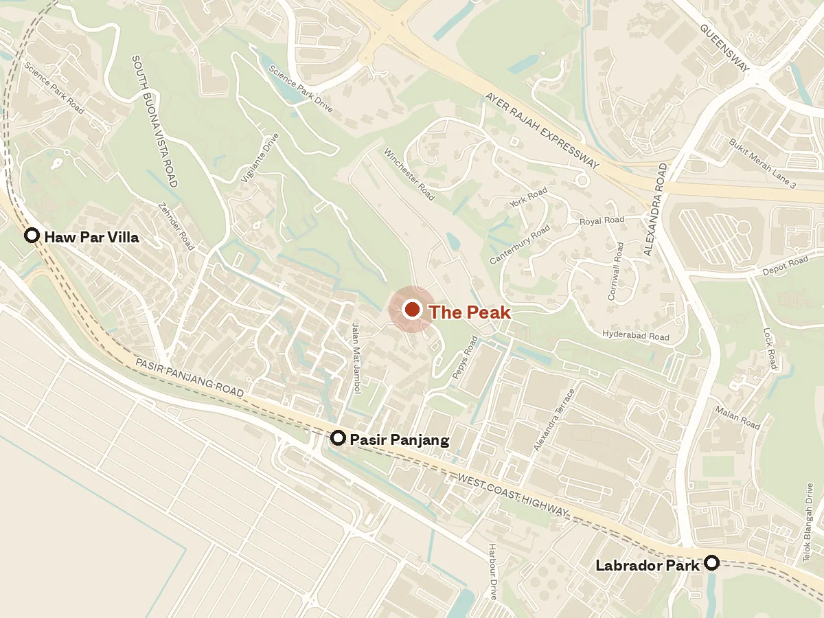 Map of the area around The Peak, with nearby MRT stations and primary schools
