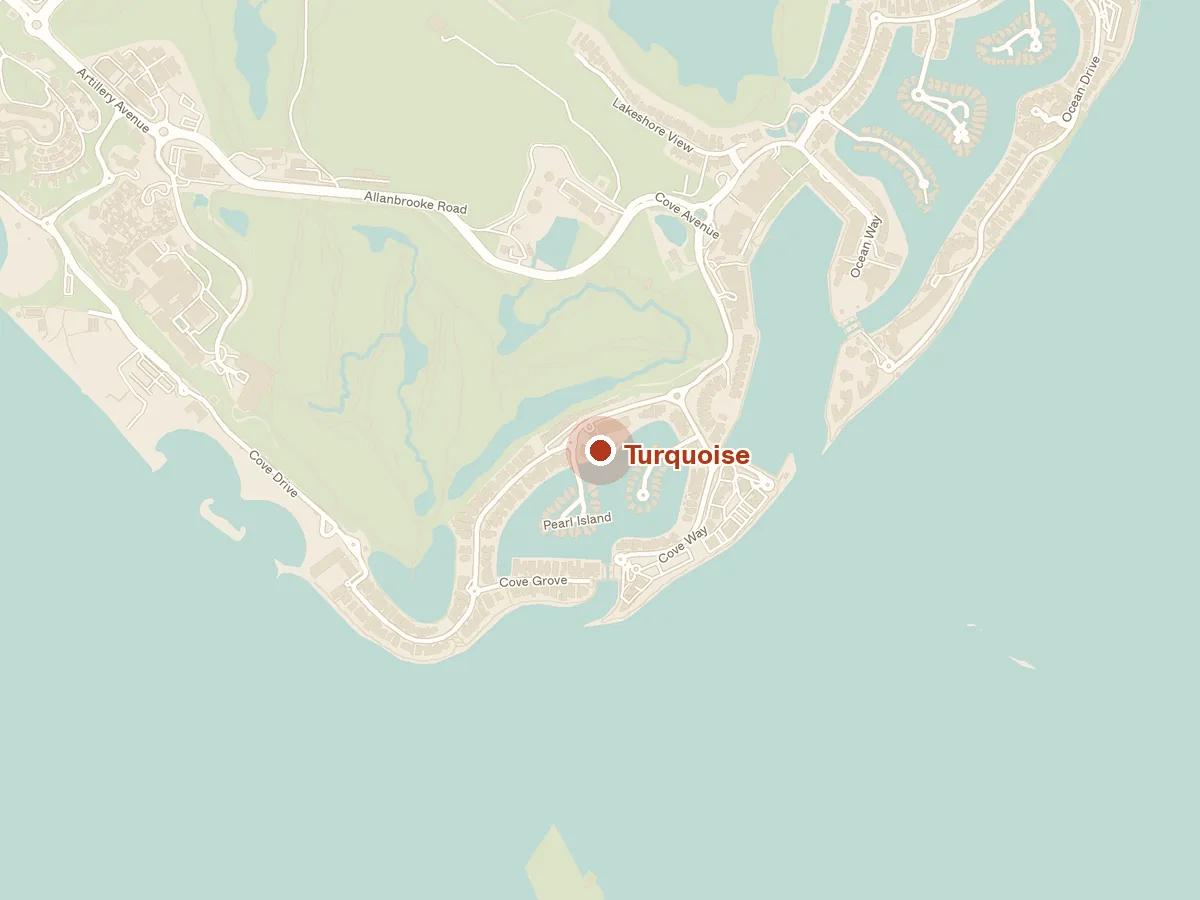 Map of the area around Turquoise, with nearby MRT stations and primary schools